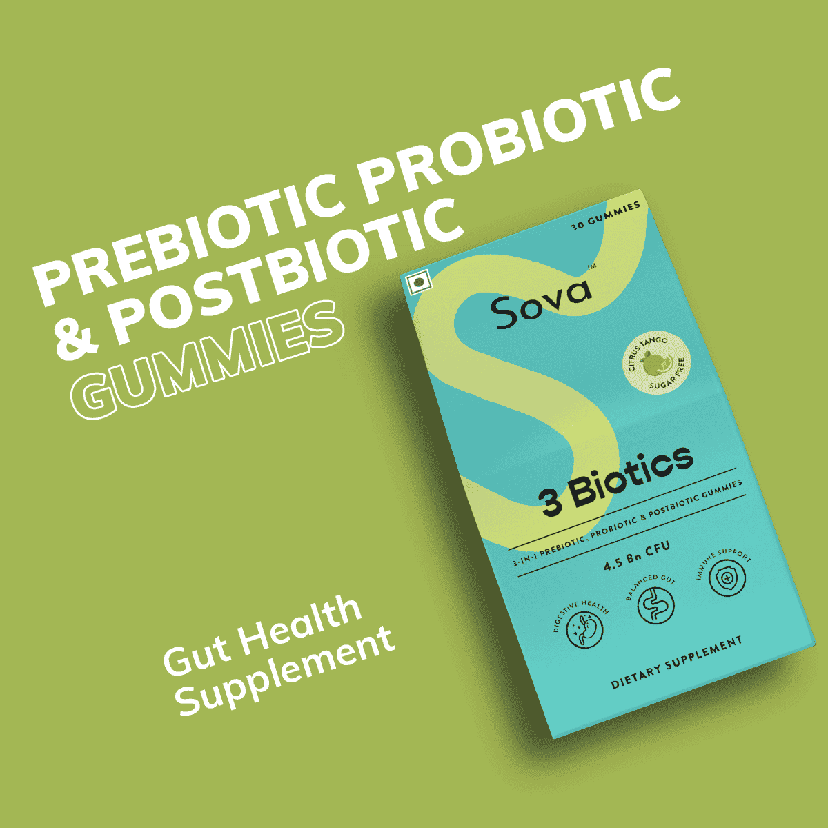 Travel Pack | Post Meal Digestive Gummies