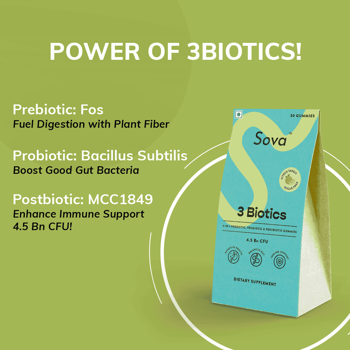 Travel Pack | Post Meal Digestive Gummies