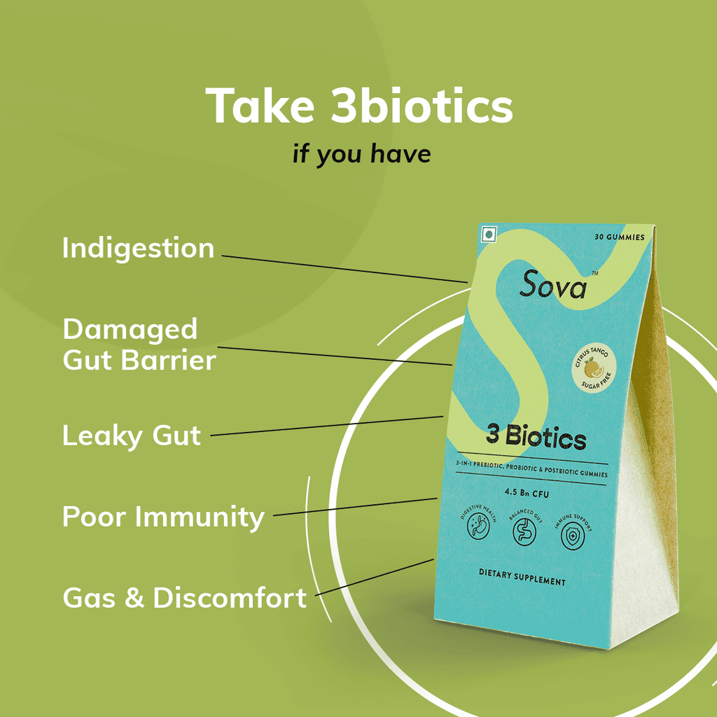Travel Pack | Post Meal Digestive Gummies