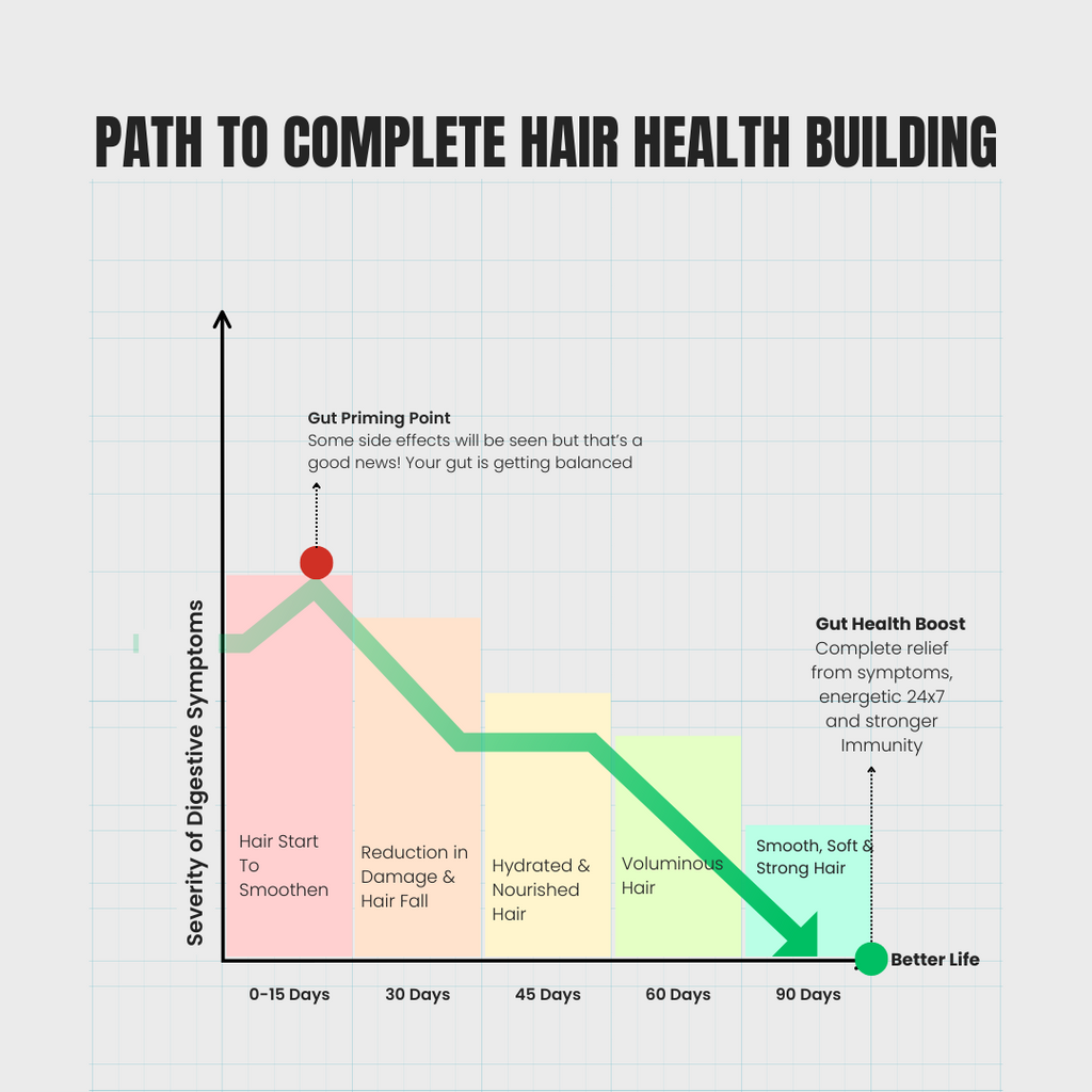 Best Biotin Gummy for Dry & Frizzy Hair With Hair Fall Control