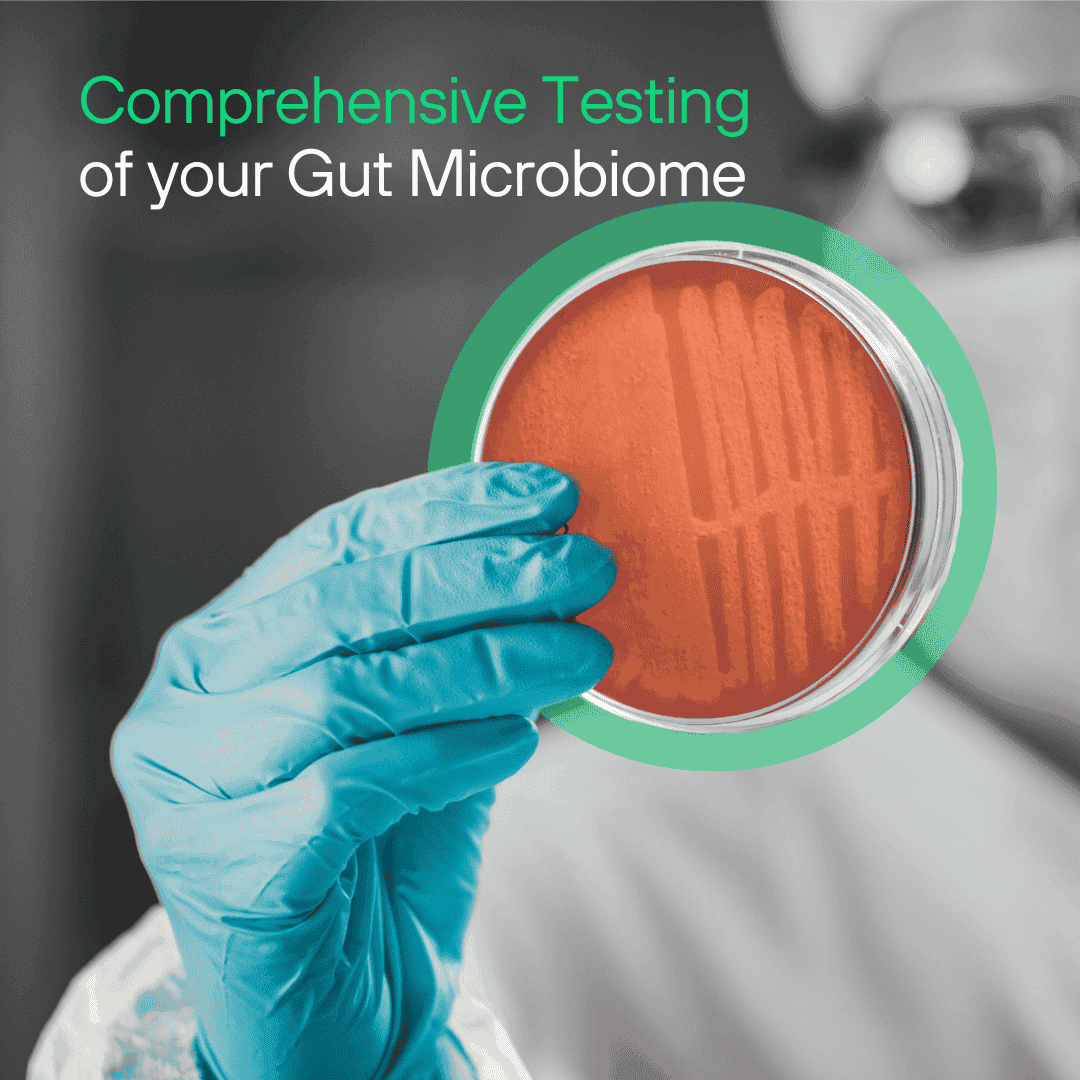 Comprehensive Gut Microbiome Test