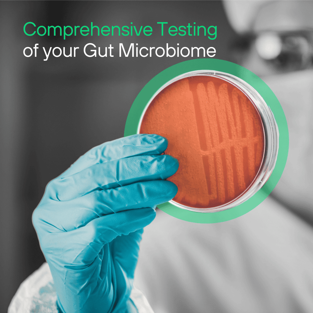 Gut x IBS | Effective IBS Treatment